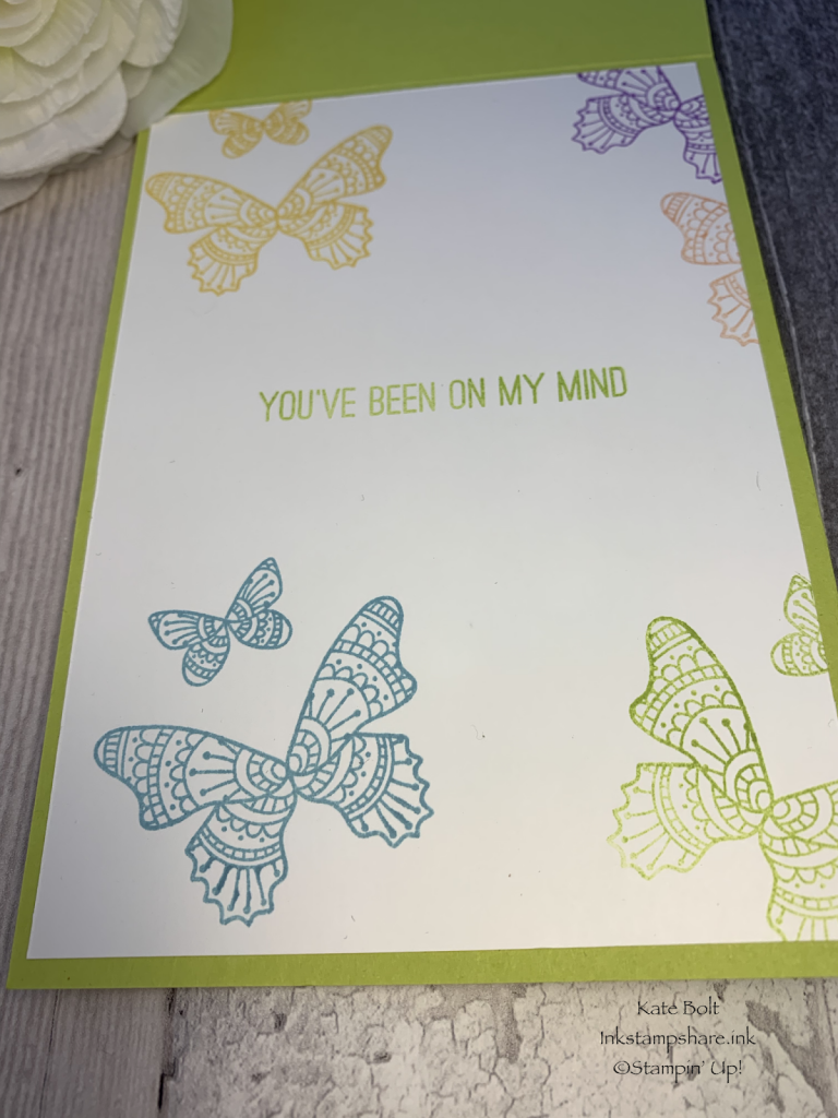 Rainbow butterfly card using Gingham Gala papers from Stampin Up