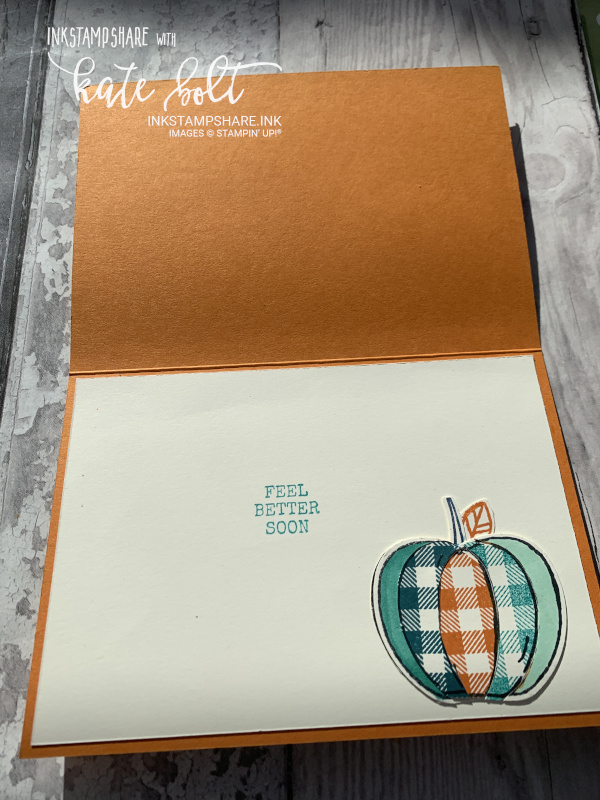 Feel Better Soon Card inside with a country feel using the Harvest Hello's Bundle. Gingham Pumpkins using the Apple Builder Punch.