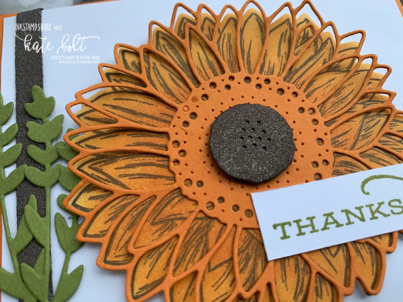 Thanks A Bunch! Thank yo card using the Celebrate sunflowers stamps and  dies! Sunflower card in vibrant Pumpkin Pie and  Early Espresso.