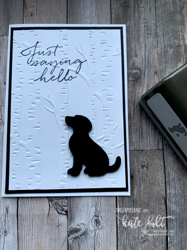 It's a Dog card ! - using the Dog Builder Punch , the woodland embossing folder and   Just saying Hello Sentiment 
It's Raining Cats and Dogs!