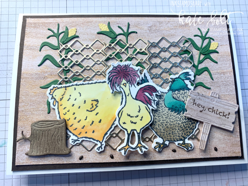 Card made using the Hey Chick stamps and  dies with fun chickens. Perfect for birthdays, easter and  fun cards.
