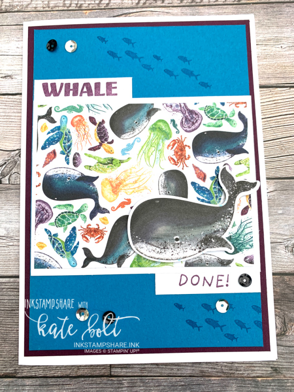 Birthday card using the Whale Done stamp and  punch bundle  and  the Whale of a time papers from Stampin Up! With sea turtles in Pacific Point and  Blackberry Bliss.