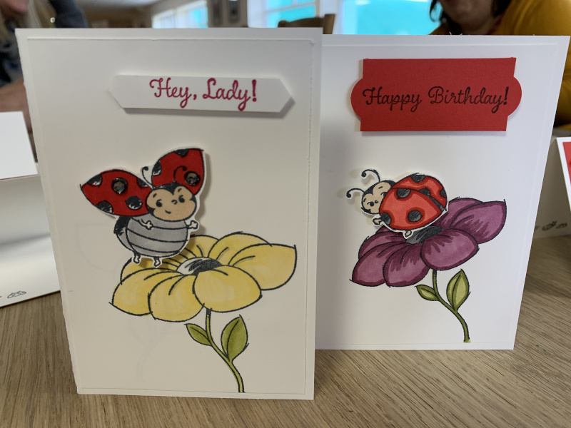 Card with flying Ladybird using the Little Ladybug stamp set for Coffee and  cards. Little Ladybug stamp set by Stampin' Up!