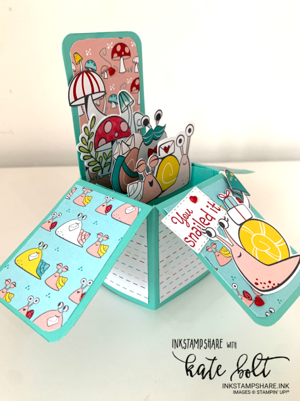 You Snailed It! Card in a box using the Snail Mail Suite Collection from the new Stampin Up catalogue with video tutorial.